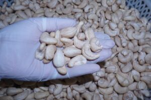 Cashew kernels
